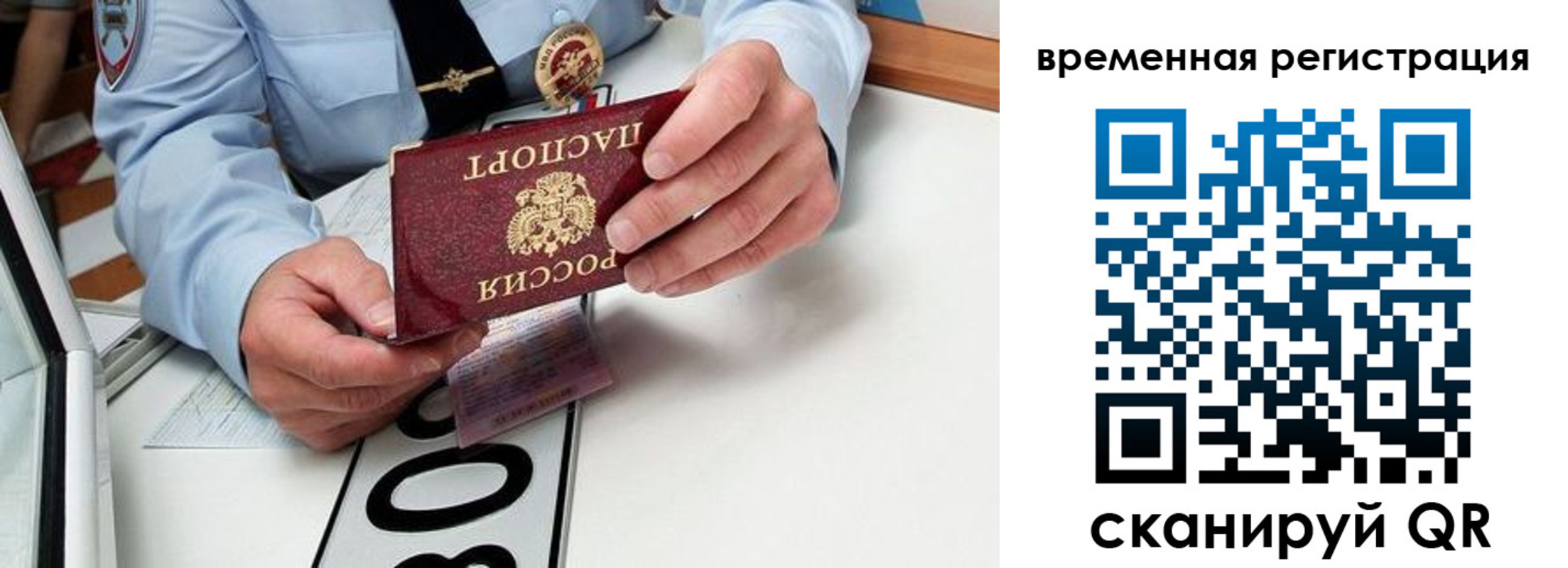 прописка гарантия в Называевске
